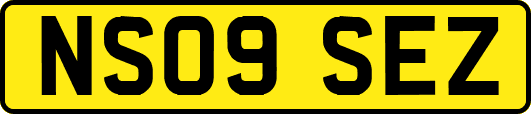 NS09SEZ