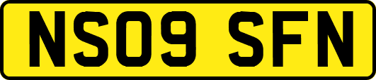 NS09SFN