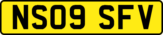 NS09SFV