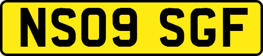 NS09SGF