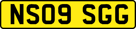 NS09SGG