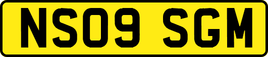 NS09SGM