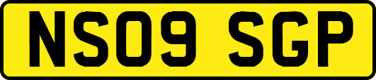 NS09SGP