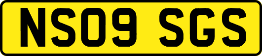 NS09SGS