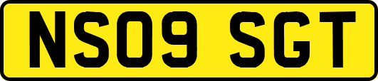 NS09SGT