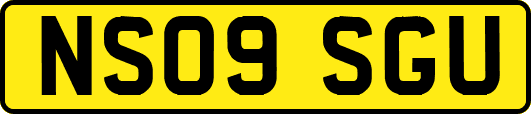 NS09SGU