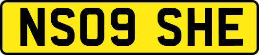 NS09SHE