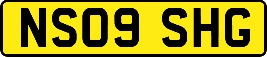 NS09SHG