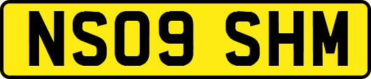 NS09SHM