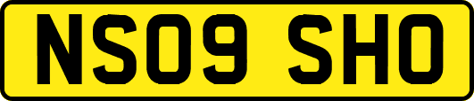 NS09SHO