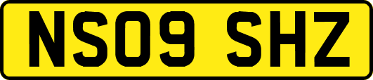NS09SHZ