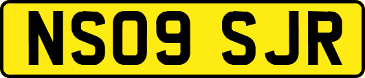 NS09SJR