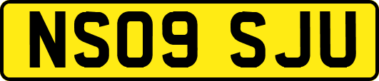 NS09SJU