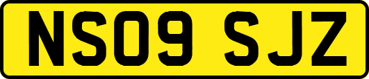 NS09SJZ