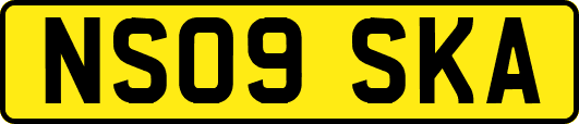 NS09SKA