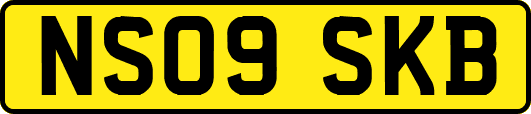 NS09SKB