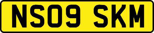 NS09SKM