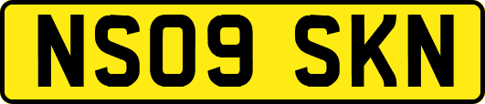 NS09SKN