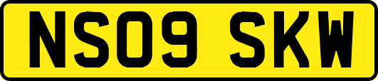 NS09SKW