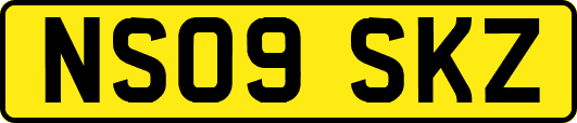 NS09SKZ