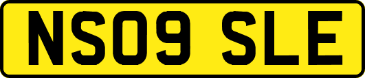 NS09SLE