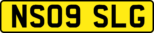 NS09SLG