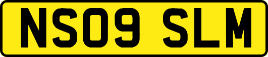 NS09SLM