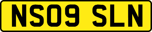 NS09SLN