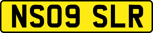 NS09SLR
