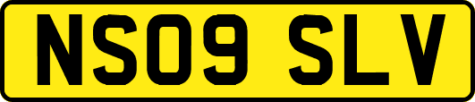 NS09SLV