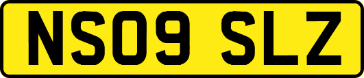 NS09SLZ