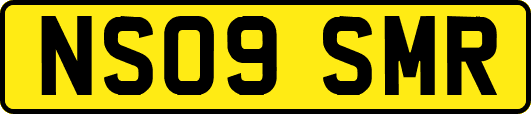 NS09SMR