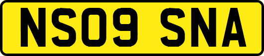 NS09SNA