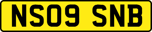 NS09SNB