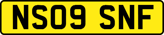 NS09SNF