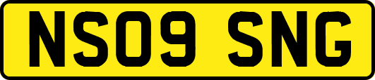 NS09SNG