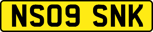 NS09SNK