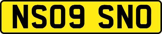 NS09SNO