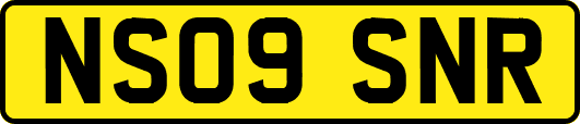 NS09SNR