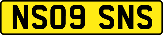 NS09SNS