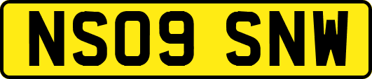 NS09SNW