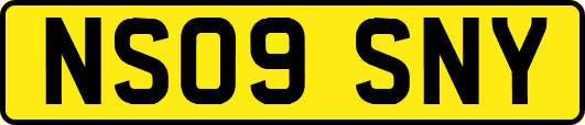 NS09SNY