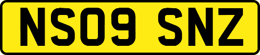 NS09SNZ