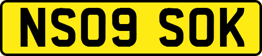 NS09SOK