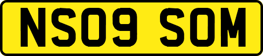 NS09SOM