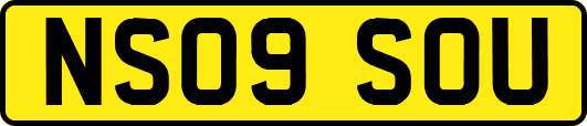 NS09SOU