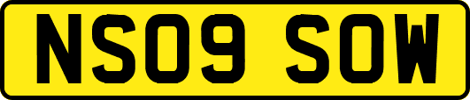NS09SOW