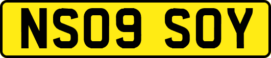 NS09SOY