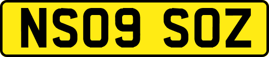 NS09SOZ
