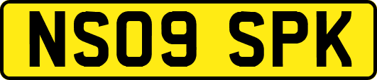 NS09SPK